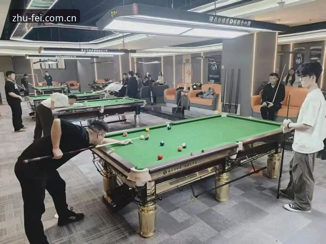 非凡体育平台避坑实用指南：从登录到数据查询的防错经验