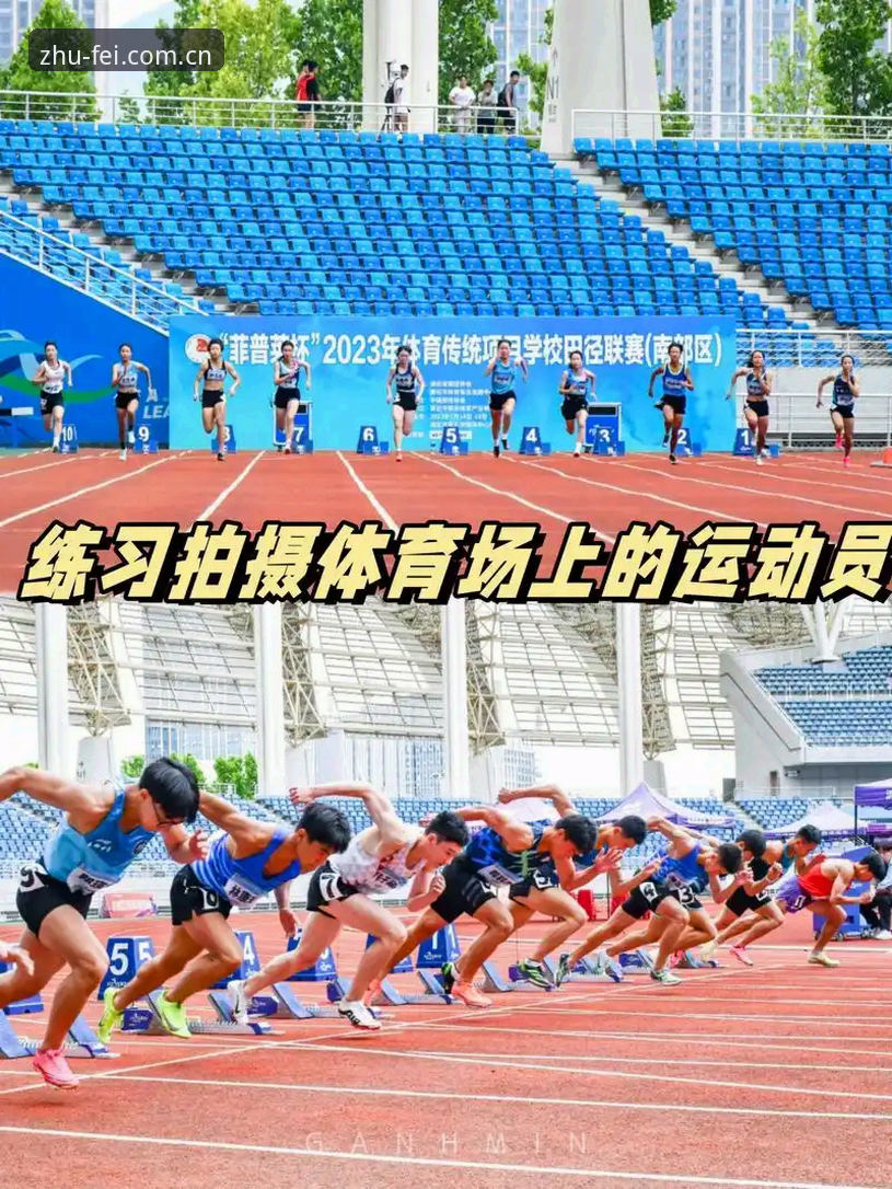非凡体育平台避坑实用指南：从登录到数据查询的防错经验